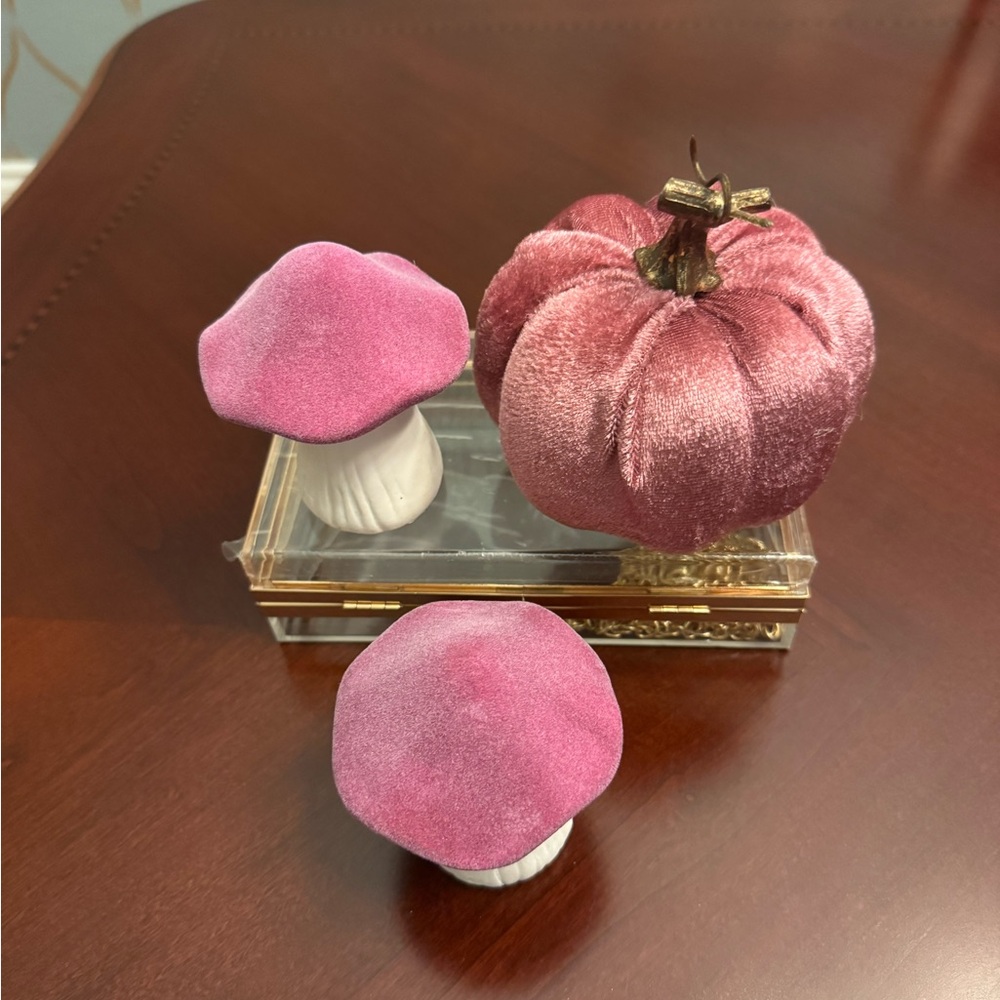 Velvet Pink Mushroom and Pumpkin Set